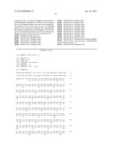 TDP-43-STORING CELL MODEL diagram and image