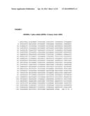 RANKL ANTIBODY-PTH/PTHrP CHIMERIC MOLECULES diagram and image