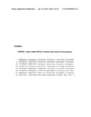 RANKL ANTIBODY-PTH/PTHrP CHIMERIC MOLECULES diagram and image