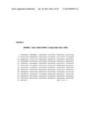 RANKL ANTIBODY-PTH/PTHrP CHIMERIC MOLECULES diagram and image