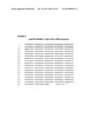 RANKL ANTIBODY-PTH/PTHrP CHIMERIC MOLECULES diagram and image