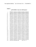 RANKL ANTIBODY-PTH/PTHrP CHIMERIC MOLECULES diagram and image