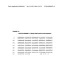 RANKL ANTIBODY-PTH/PTHrP CHIMERIC MOLECULES diagram and image