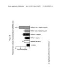 RANKL ANTIBODY-PTH/PTHrP CHIMERIC MOLECULES diagram and image