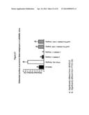 RANKL ANTIBODY-PTH/PTHrP CHIMERIC MOLECULES diagram and image