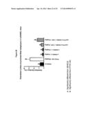 RANKL ANTIBODY-PTH/PTHrP CHIMERIC MOLECULES diagram and image