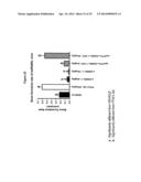 RANKL ANTIBODY-PTH/PTHrP CHIMERIC MOLECULES diagram and image