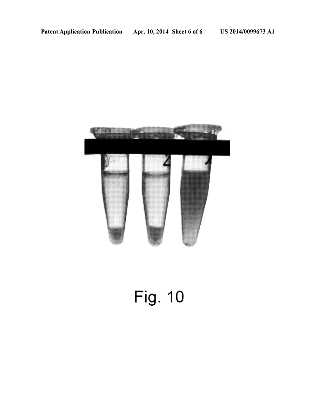 PROCESS FOR THE PRODUCTION OF HYALURONIC ACID IN ESCHERICHIA COLI OR     BACILLUS MEGATERIUM - diagram, schematic, and image 07