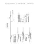 Recombinase Polymerase Amplification diagram and image