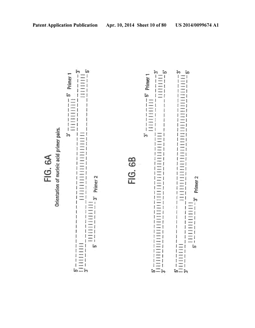 Recombinase Polymerase Amplification - diagram, schematic, and image 11