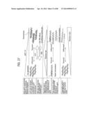 Recombinase Polymerase Amplification diagram and image