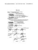 Recombinase Polymerase Amplification diagram and image