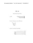 Recombinase Polymerase Amplification diagram and image