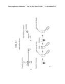 Recombinase Polymerase Amplification diagram and image