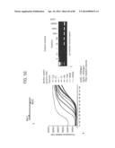 Recombinase Polymerase Amplification diagram and image