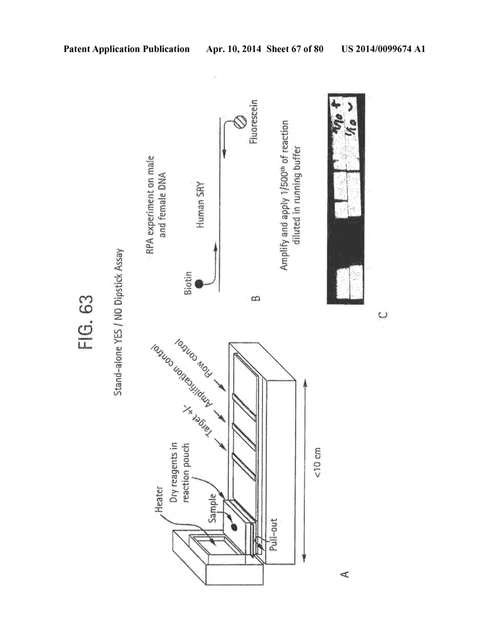 Recombinase Polymerase Amplification - diagram, schematic, and image 68