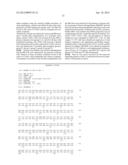 COMPOSITIONS FOR THE IN VITRO DERIVATION AND CULTURE OF EMBRYONIC STEM     (ES) CELL LINES WITH GERMLINE TRANSMISSION CAPABILITY AND FOR THE CULTURE     OF ADULT STEM CELLS diagram and image