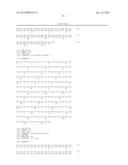 COMPOSITIONS FOR THE IN VITRO DERIVATION AND CULTURE OF EMBRYONIC STEM     (ES) CELL LINES WITH GERMLINE TRANSMISSION CAPABILITY AND FOR THE CULTURE     OF ADULT STEM CELLS diagram and image