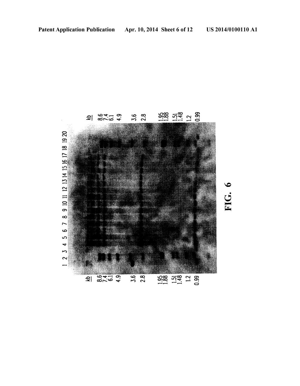 Soybean Event DP-305423-1 And Compositions And Methods For The     Identification And/Or Detection Thereor - diagram, schematic, and image 07