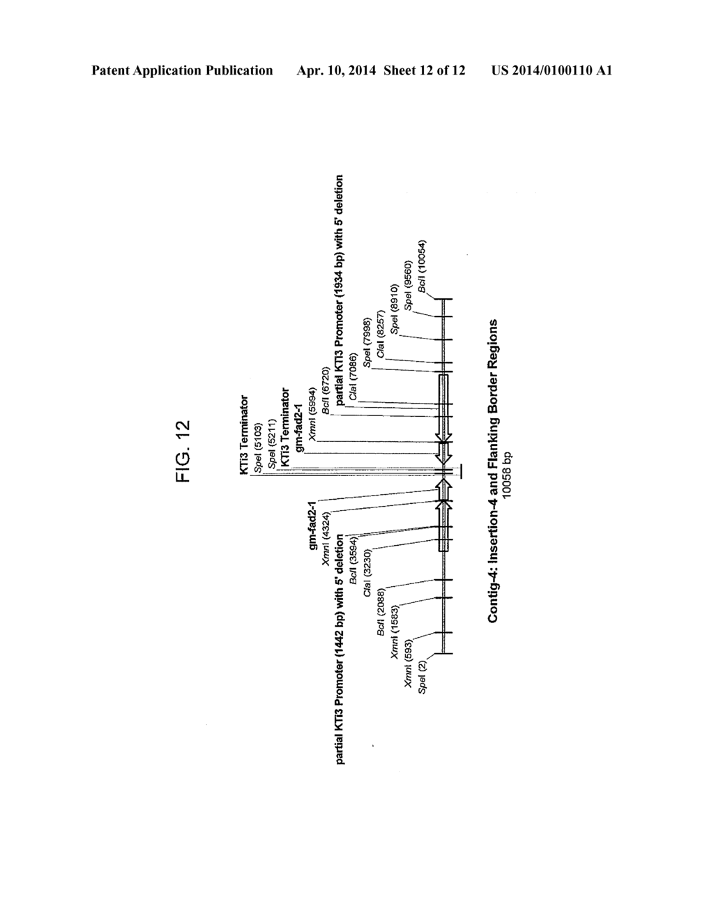 Soybean Event DP-305423-1 And Compositions And Methods For The     Identification And/Or Detection Thereor - diagram, schematic, and image 13