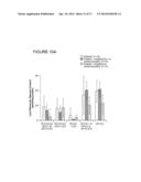 USE OF MARKERS IN THE IDENTIFICATION OF CARDIOTOXIC AGENTS AND IN THE     DIAGNOSIS AND MONITORING OF CARDIOMYOPATHY AND CARDIOVASCULAR DISEASE diagram and image