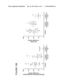 USE OF MARKERS IN THE IDENTIFICATION OF CARDIOTOXIC AGENTS AND IN THE     DIAGNOSIS AND MONITORING OF CARDIOMYOPATHY AND CARDIOVASCULAR DISEASE diagram and image