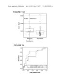 USE OF MARKERS IN THE IDENTIFICATION OF CARDIOTOXIC AGENTS AND IN THE     DIAGNOSIS AND MONITORING OF CARDIOMYOPATHY AND CARDIOVASCULAR DISEASE diagram and image