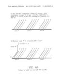 PROCESSES FOR DETECTING OR QUANTIFYING MORE THAN ONE NUCLEIC ACID IN A     LIBRARY diagram and image