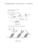 PROCESSES FOR DETECTING OR QUANTIFYING MORE THAN ONE NUCLEIC ACID IN A     LIBRARY diagram and image