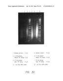 PROCESSES FOR DETECTING OR QUANTIFYING MORE THAN ONE NUCLEIC ACID IN A     LIBRARY diagram and image