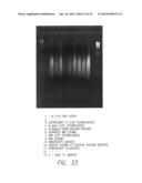 PROCESSES FOR DETECTING OR QUANTIFYING MORE THAN ONE NUCLEIC ACID IN A     LIBRARY diagram and image