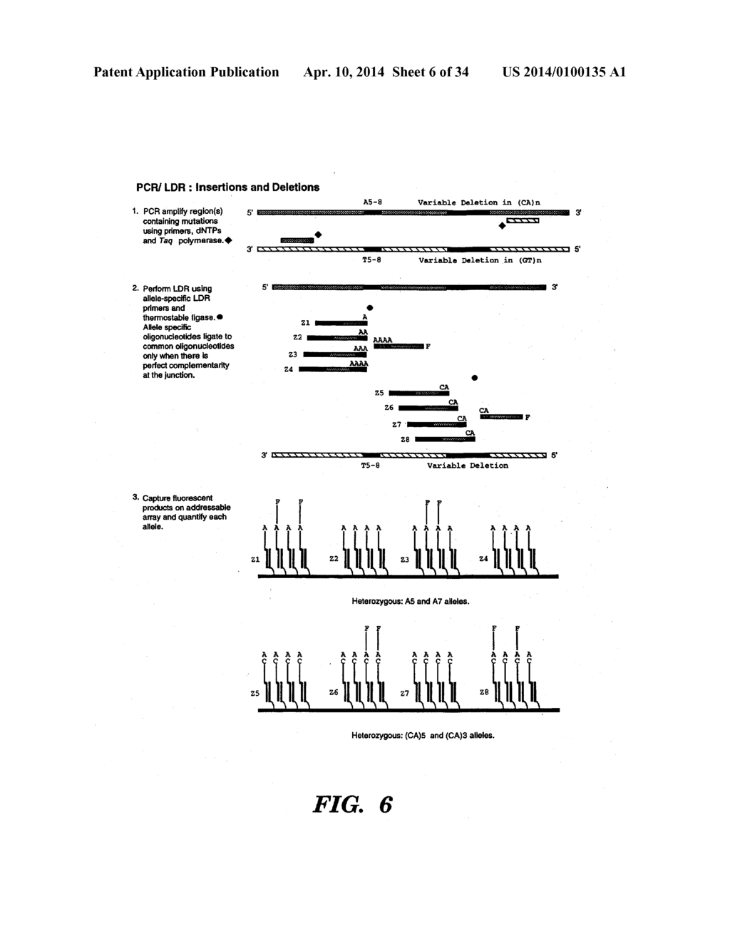 DETECTION OF NUCLEIC ACID SEQUENCE DIFFERENCES USING THE LIGASE DETECTION     REACTION WITH ADDRESSABLE ARRAYS - diagram, schematic, and image 07