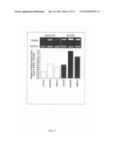 PLANT-DERIVED ELASTIN BINDING PROTEIN LIGANDS AND METHODS OF USING THE     SAME diagram and image