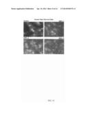 PLANT-DERIVED ELASTIN BINDING PROTEIN LIGANDS AND METHODS OF USING THE     SAME diagram and image