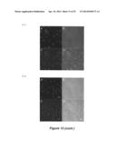 Nitrile-containing enzyme inhibitors and ruthenium complexes thereof diagram and image