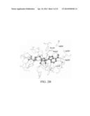 SELECTIVE INHIBITORS OF HISTONE METHYLTRANSFERASE DOT1L diagram and image