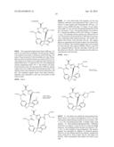 Diazonamide Analogs diagram and image