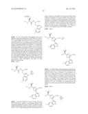 Diazonamide Analogs diagram and image