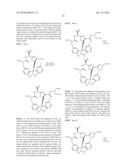 Diazonamide Analogs diagram and image