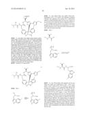 Diazonamide Analogs diagram and image