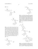 Diazonamide Analogs diagram and image