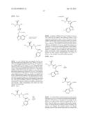 Diazonamide Analogs diagram and image