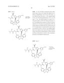 Diazonamide Analogs diagram and image