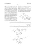 Diazonamide Analogs diagram and image