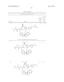 Diazonamide Analogs diagram and image