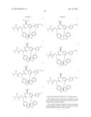 Diazonamide Analogs diagram and image