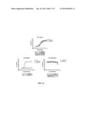 Heterobicyclic sphingosine 1-phosphate analogs diagram and image