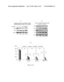 Methods and Compositions for Maintaining Blood-Brain Barrier Integrity diagram and image