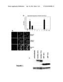 TREATMENT METHODS USING VERY LONG CHAIN POLYUNSATURATED FATTY ACIDS diagram and image