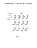 COMPOSITIONS CONTAINING, METHODS INVOLVING, AND USES OF NON-NATURAL AMINO     ACIDS AND POLYPEPTIDES diagram and image